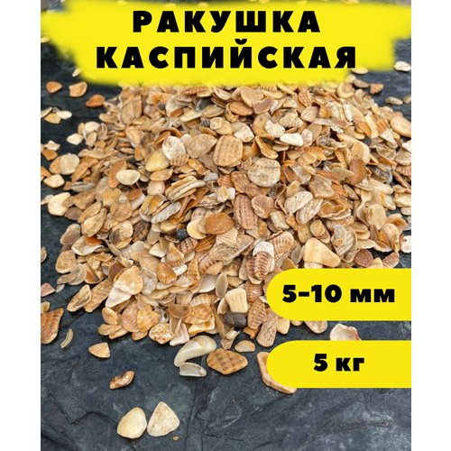 Ракушка Каспийская, 5-10 мм, 5 кг