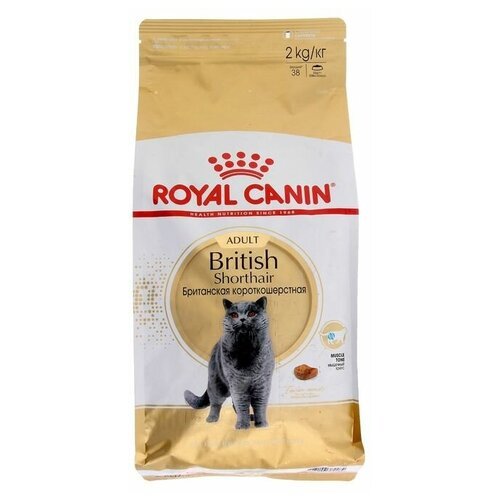 Сухой корм RC British Shorthair для британских кошек, 2 кг