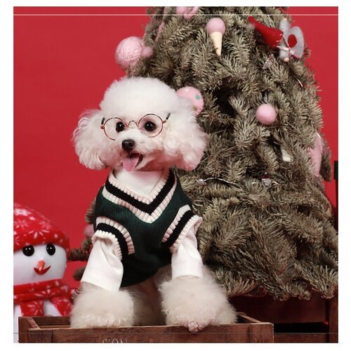 Теплый свитер для собак зелёный модный (Размер: M) окружность шеи 26 см ; грудь собаки 37 см; Длина спинки 25 см;