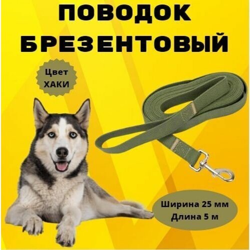 Поводок брезентовый Моськи-Авоськи 25 мм х 5 м, цвет хаки