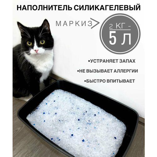Наполнитель для кошачьего туалета силикагелевый, впитывающий, Маркиз 5л (~2кг)