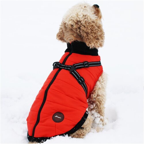Куртка для собак Asmpet Sport утепленная со шлейкой, р-р XL, оранжевая