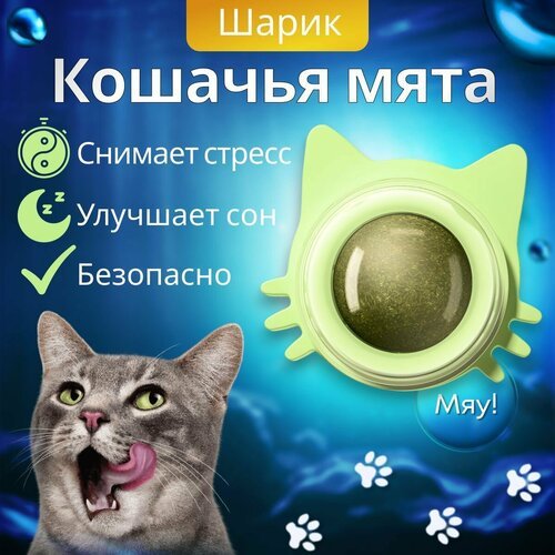 Кошачья мята. Конфета-шар с кошачьей мятой. Лакомство для кошек, игрушка для котят / леденец с витаминами