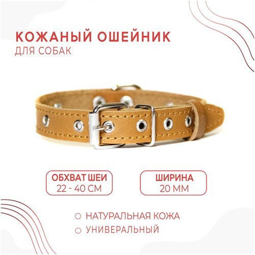 Кожаный ошейник (обхват шеи 22-40 см.) для собак / Песочно-бежевый цвет