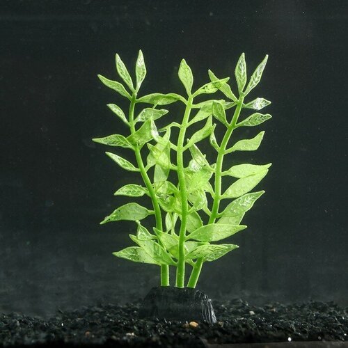 Растение силиконовое аквариумное, светящееся в темноте, 8 х 15 см, зелёное