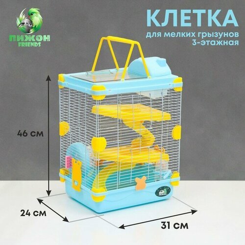 Клетка для грызунов 'Пижон', 31 х 24 х 46 см, голубая