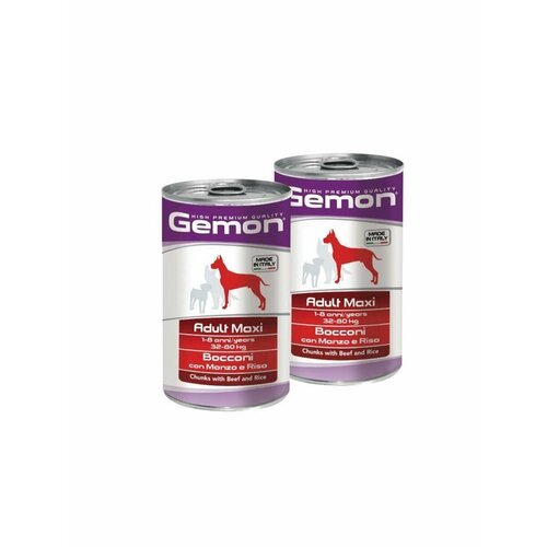 Консервы Gemon Dog Maxi, для собак крупных пород, кусочки говядины с рисом, 2 шт по 1,25 кг