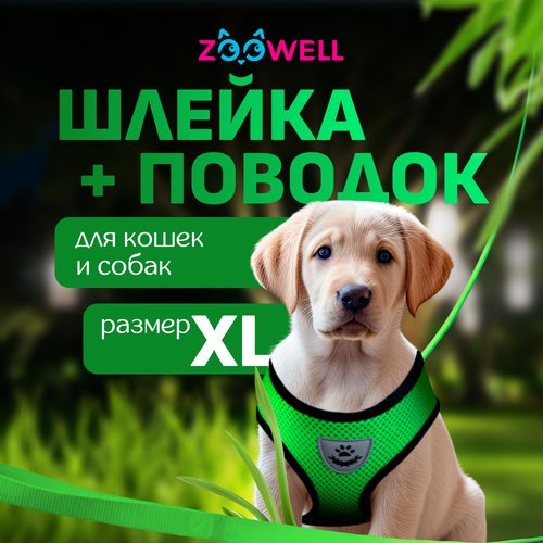 Шлейка с поводком ZooWell универсальная XL зеленая