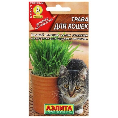 Семена 'Трава для кошек', ц/п, 20 г