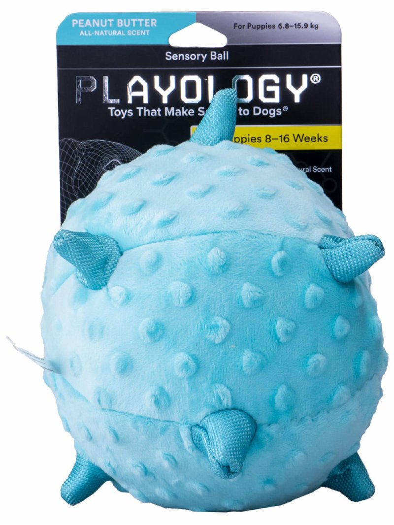 Playology Playology сенсорный плюшевый мяч Playology PUPPY SENSORY BALL 11 см для щенков, с ароматом арахиса, цвет голубой (11 см)