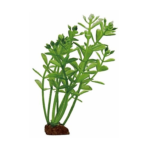 Искусственное растение ArtUniq Ротала 10 см, набор 6 шт. 10 см зеленый