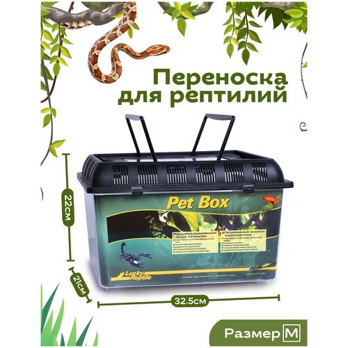 Переноска для рептилий LUCKY REPTILE 'Pet Box Medium', 32.5x22x21см (Германия)