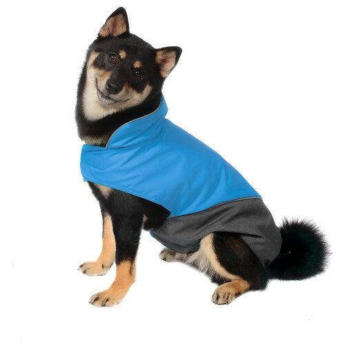 Tappi одежда Попона Блантдля собак голубая, размер M, спинка 34 см, лд22ос, 0,107 кг