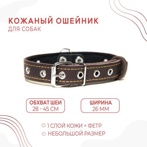 Кожаный ошейник (обхват шеи 28-45 см.) на фетре для собак / коричневый цвет