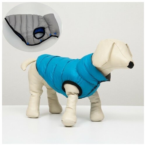 Куртка для собак двухсторонняя с воротником, S40 (ДС 39, ОШ 36, ОГ 52 см), голубая/серая