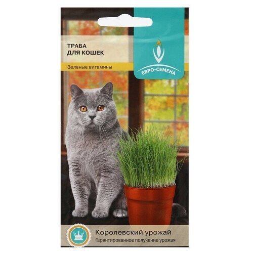 Лакомство для кошек - Трава, 10 г, Евро-семена, 5 упаковок