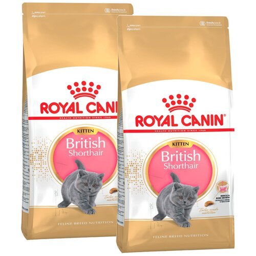 Сухой корм ROYAL CANIN BRITISH SHORTHAIR KITTEN 34 для британских короткошерстных котят (0,4 + 0,4 кг)