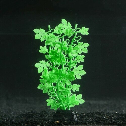 Sima-land Растение силиконовое аквариумное, светящееся в темноте, 6,5 х 18 см, зелёное