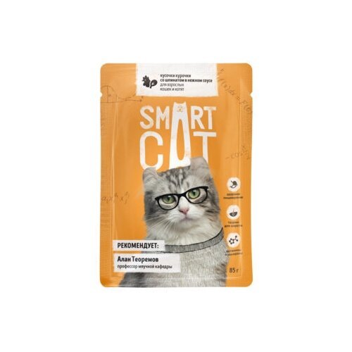 Smart Cat паучи Паучи для взрослых кошек и котят кусочки курочки со шпинатом в нежном соусе 0,085 кг 38069 (37 шт)