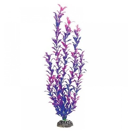 Растение Лисимахия сине-фиолетовая пластик 46см