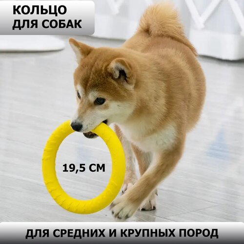 Кольцо для собак, пуллер, тренировочный снаряд, 19,5 см