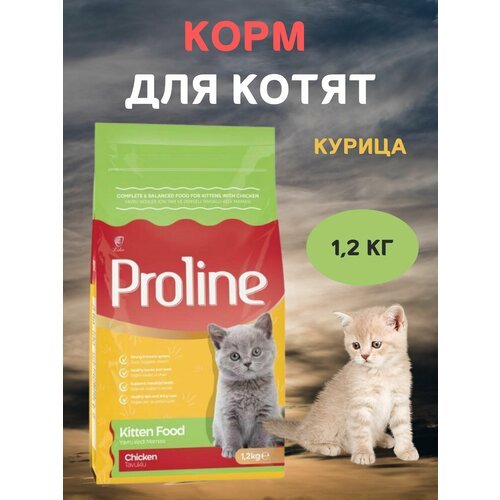 Сухой корм для котят, с курицей, PROLINE , 1,2 кг