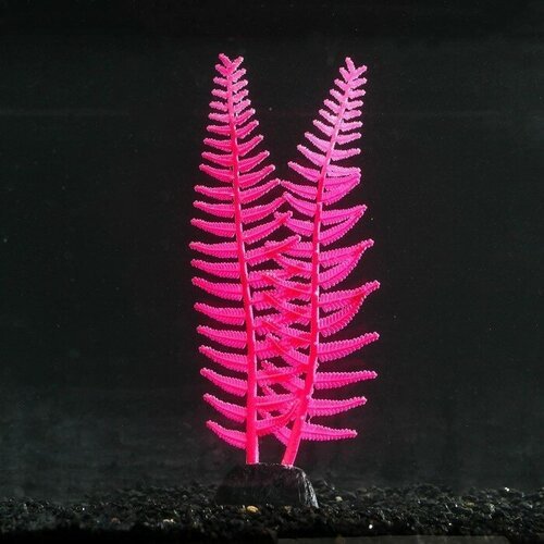 Sima-land Растение силиконовое аквариумное, светящееся в темноте, 8 х 23 см, розовое