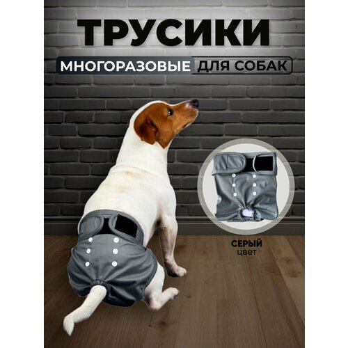 Многоразовые трусы для собак при течке, XS, серые