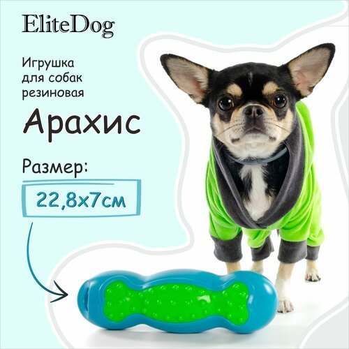 Игрушка для собак резиновая EliteDog 'Арахис', зелёно-голубая, 22.8х7х6.8см