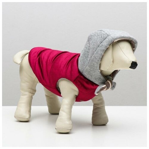 Куртка для собак Cocoa honey зимняя, XS, (ОШ 18-22, ОГ 27-32, ДС 20 см), красная