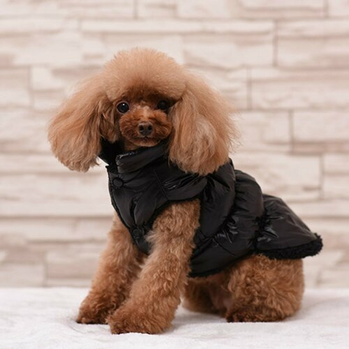 Куртка для собак 'Блеск', XS (ДС 20, ОГ 28, ОШ 19 см, до 3 кг), чёрная
