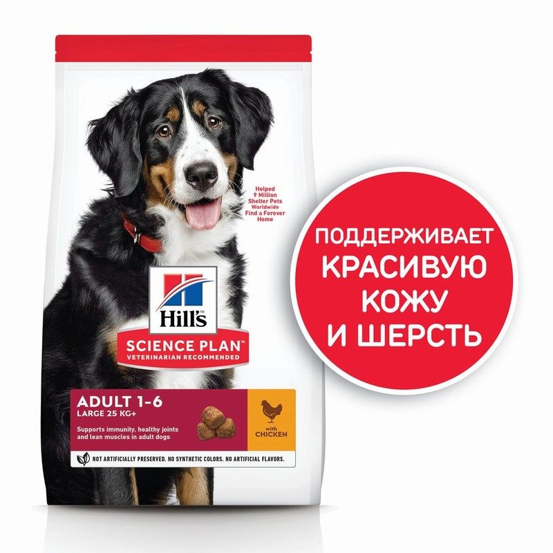 Hill's Science Plan Dog Adult Large Breed Chicken сухой корм для собак крупных пород для поддержания здоровья суставов и мышечной массы, с курицей 2,5 кг