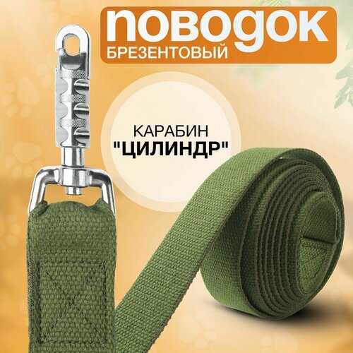 Поводок брезентовый 3 м х 35 мм, усиленный цилиндрический карабин, прошитый, для собак средних и крупных пород.