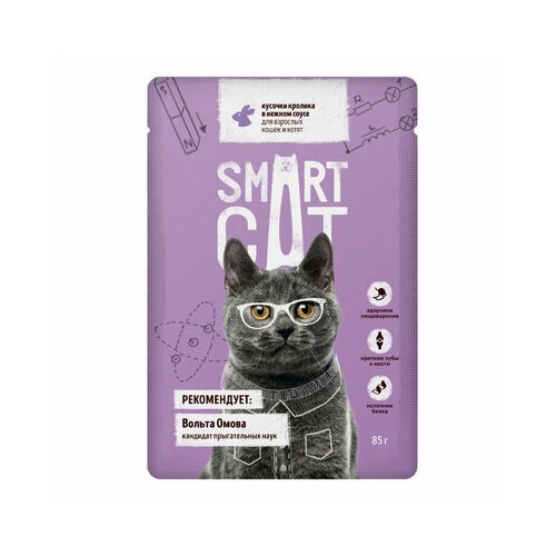 Smart Cat паучи Паучи для взрослых кошек и котят кусочки кролика в нежном соусе, 0,085 кг (2 шт)