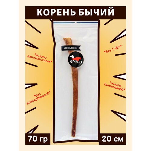 Корень бычий 25 см