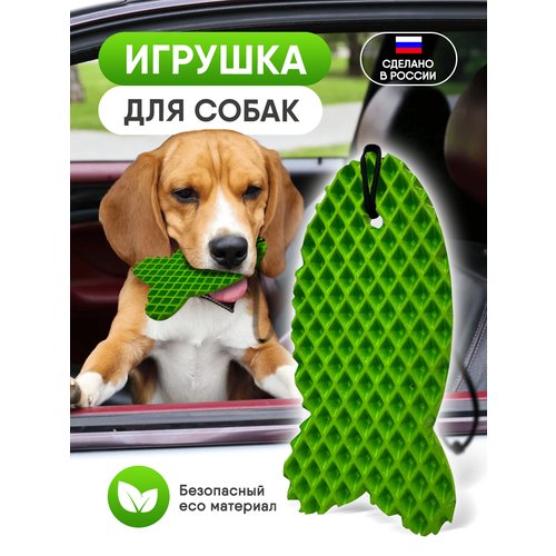 Игрушка для собак рыбка зеленая