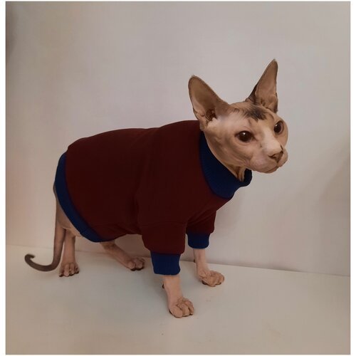 Толстовка для кошек, размер 40(длина спины 40см), цвет портвейн/свитшот для кошек/для сфинксов/сфинкс/одежда для кошек